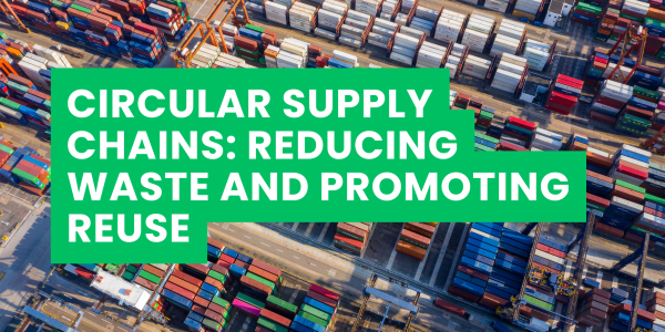 Circular Supply Chains: Reducing Waste and Promoting Reuse
